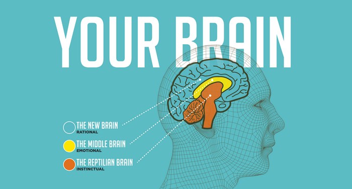 10 Kebiasaan Buruk yang Dapat Mengecilkan Otak Anda